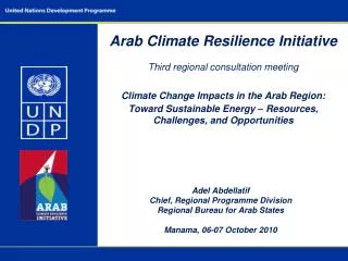 Adel Abdellatif Chief, Regional Programme Division Regional Bureau for Arab States