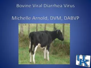 Bovine Viral Diarrhea Virus Michelle Arnold, DVM, DABVP