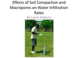 Effects of Soil Compaction and Macropores on Water Infiltration Rates