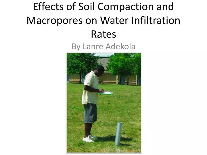 effects of soil compaction and macropores on water infiltration rates