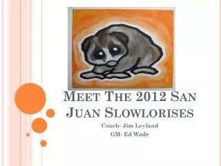 Meet The 2012 San Juan Slowlorises