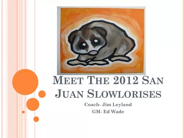 meet the 2012 san juan slowlorises