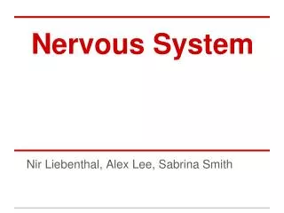 Nervous System