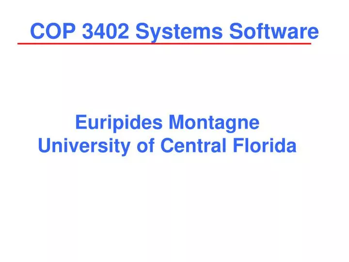 cop 3402 systems software