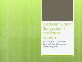Biodiversity and Succession in the Deep Ocean