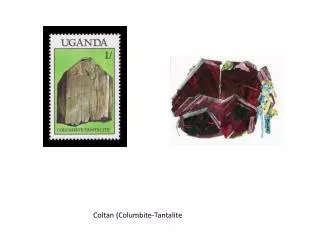 Coltan ( Columbite -Tantalite