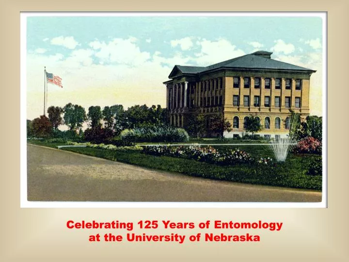 celebrating 125 years o f entomology at the university of nebraska