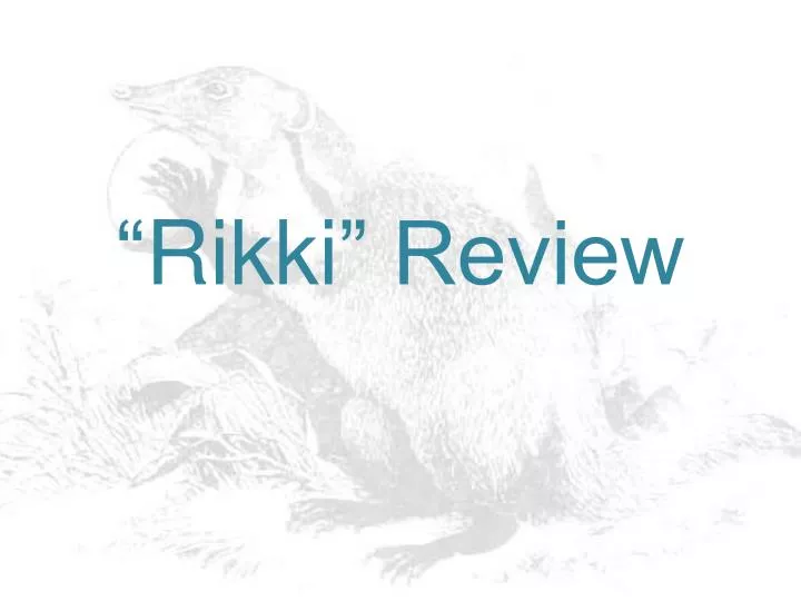 rikki review