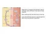 Free energy - slide 1