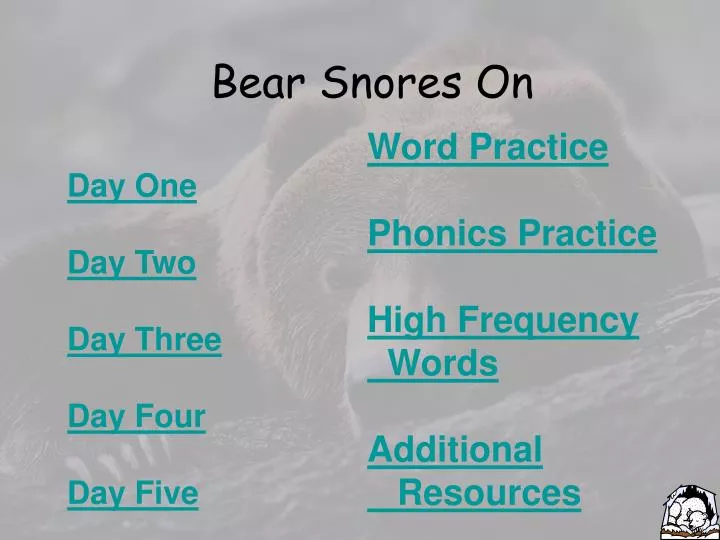 bear snores on