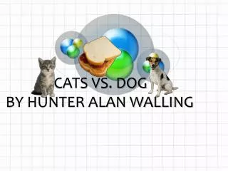 CATS VS. DOG BY HUNTER ALAN WALLING