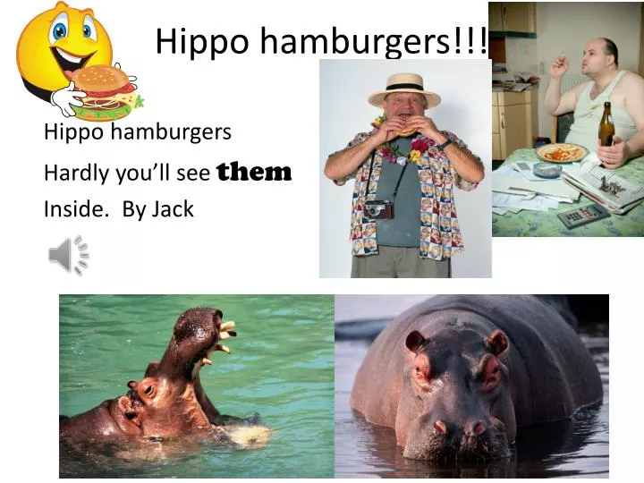 hippo hamburgers