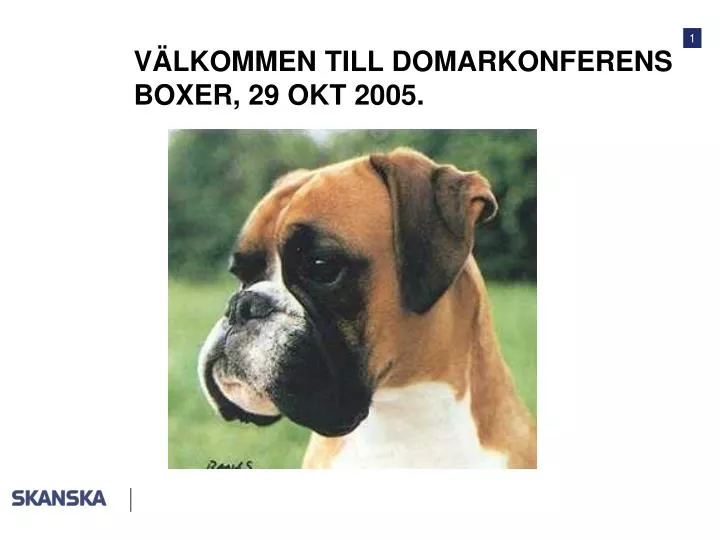 v lkommen till domarkonferens boxer 29 okt 2005