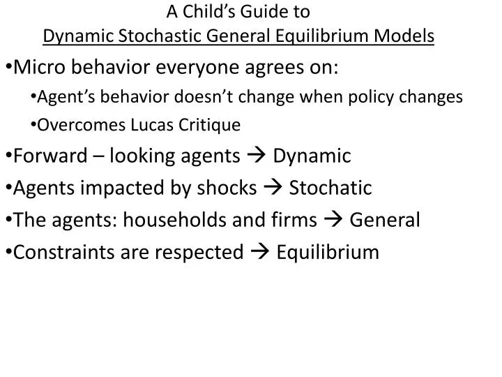 a child s guide to dynamic stochastic general equilibrium models