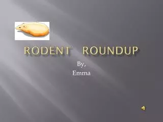 Rodent Roundup