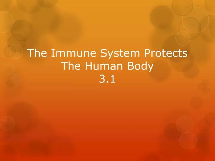 the immune system protects the human body 3 1