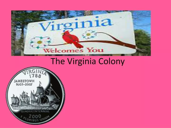 the virginia colony