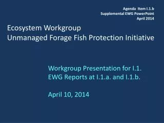 Ecosystem Workgroup Unmanaged Forage Fish Protection Initiative