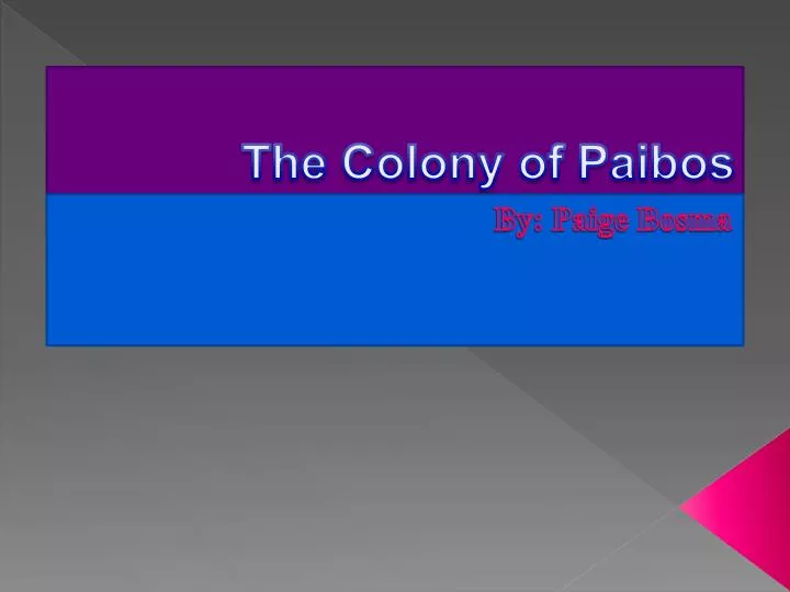 the colony of paibos