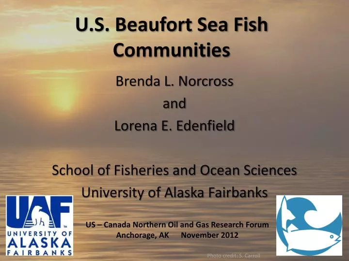 u s beaufort sea fish communities