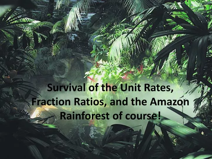 survival of the unit rates fraction ratios and the amazon rainforest of course