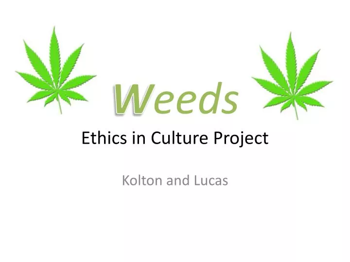 w eeds ethics in culture project