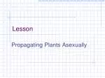 Lesson - slide 1