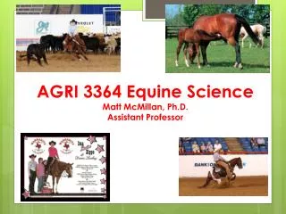 AGRI 3364 Equine Science Matt McMillan, Ph.D. Assistant Professor