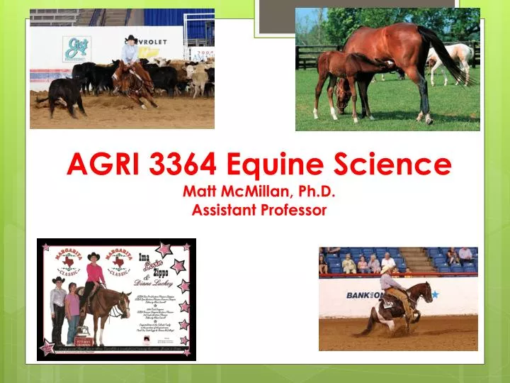 agri 3364 equine science matt mcmillan ph d assistant professor