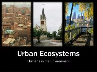 Urban Ecosystems