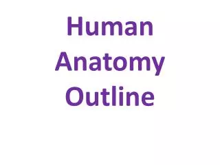 Human Anatomy Outline