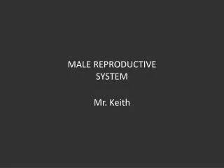 MALE REPRODUCTIVE SYSTEM