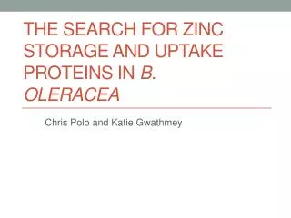The Search for Zinc Storage and Uptake Proteins in B. oleracea