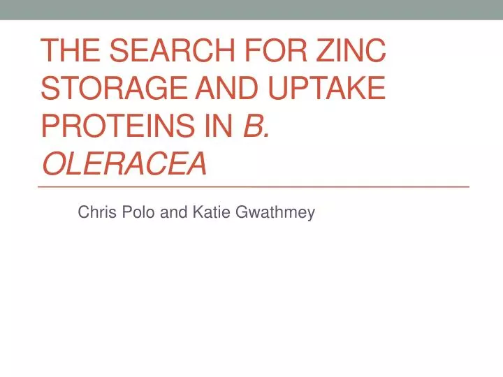 the search for zinc storage and uptake proteins in b oleracea