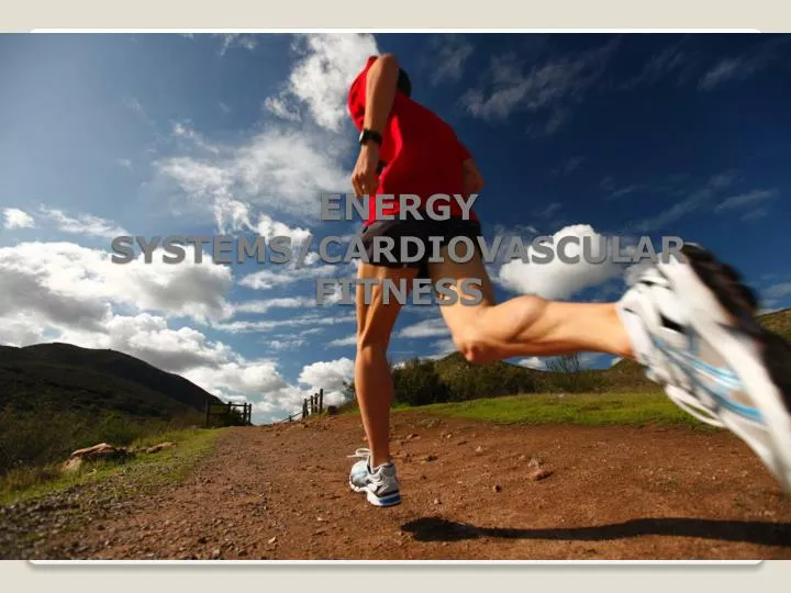 energy systems cardiovascular fitness