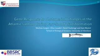 Gene Response to Photoperiod Changes in the Atlantic salmon during Parr-Smolt Transformation