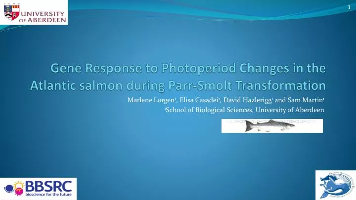 gene response to photoperiod changes in the atlantic salmon during parr smolt transformation