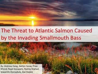 The Threat to Atlantic Salmon Caused by the Invading Smallmouth Bass