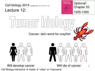 Tumor biology