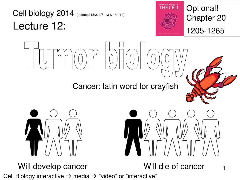 PPT - Tumor biology PowerPoint Presentation, free download - ID:1965928