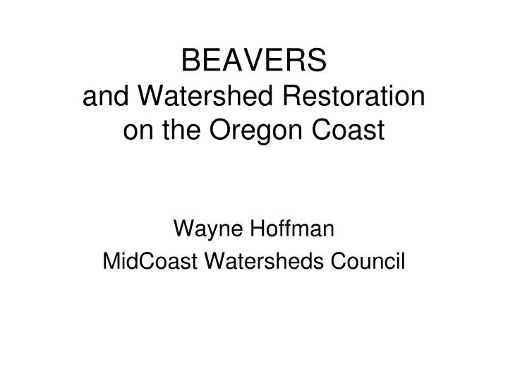 beavers and watershed restoration on the oregon coast
