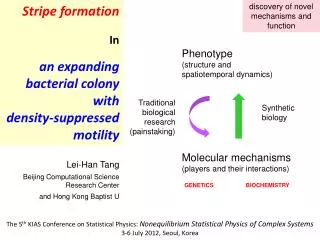 Stripe formation In an expanding bacterial colony with d ensity-suppressed motility