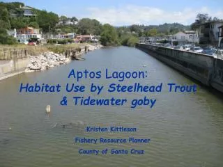 Aptos Lagoon: Habitat Use by Steelhead Trout &amp; Tidewater goby