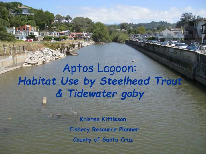 aptos lagoon habitat use by steelhead trout tidewater goby