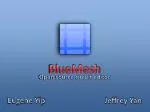 BlueMesh - slide 1