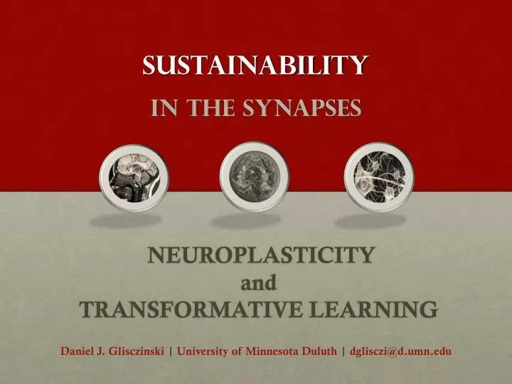 sustainability in the synapses