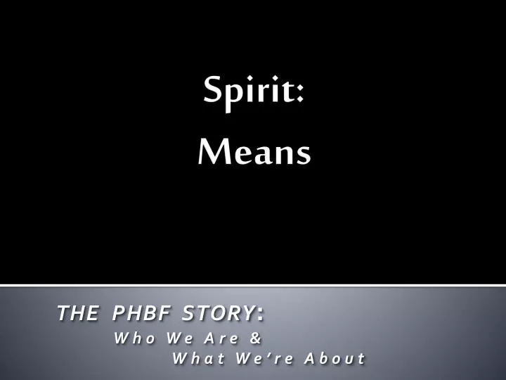 spirit means