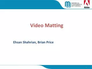 Video Matting