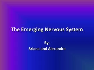The Emerging Nervous System