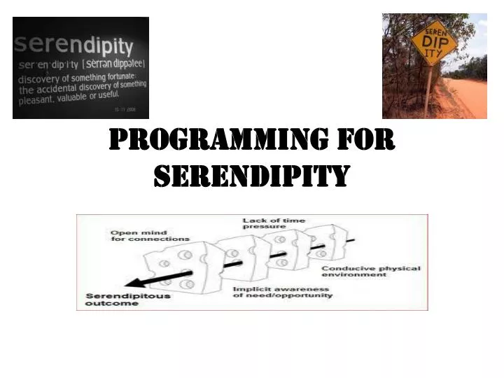 programming for serendipity